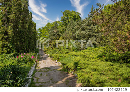 Botanical garden in Kamianets-Podilskyi, Ukraine. Botanical garden in Kamianets-Podilskyi, Ukraine. 105422329