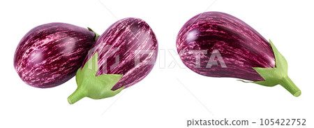 striped eggplant graffiti isolated on white background with full depth of field. striped eggplant graffiti isolated on white background with full depth of field. 105422752