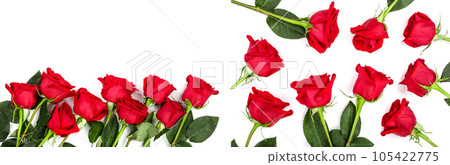 beautiful red rose with leaves isolated on white background with copy space for your text. Top view. Flat lay pattern beautiful red rose with leaves isolated on white background with copy space for your text. Top view. Flat lay pattern 105422775