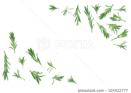 Fresh green rosemary isolated on a white background with copy space for your text. Top view. Flat lay Fresh green rosemary isolated on a white background with copy space for your text. Top view. Flat lay 105422777