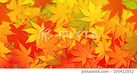 Autumn leaves autumn image material Autumn leaves autumn image material 105422852