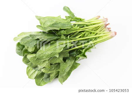 Spinach white background 105423053