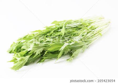 Mizuna white background Mizuna white background 105423054