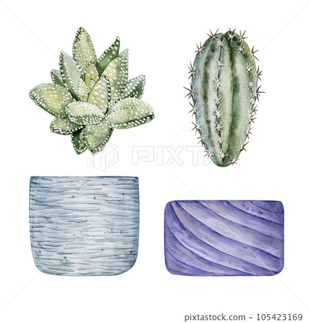 Set of clay pots and cute houseplants. Cactus and succulent. Watercolor illustration Set of clay pots and cute houseplants. Cactus and succulent. Watercolor illustration 105423169