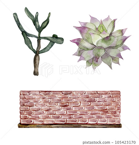 Set of succulents and clay pots. Cute home plants. High quality watercolor illustration Set of succulents and clay pots. Cute home plants. High quality watercolor illustration 105423170