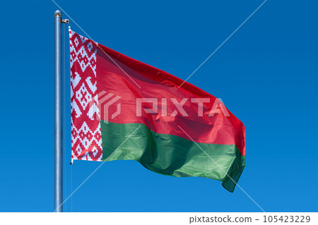 Flag of belarus close-up. 105423229