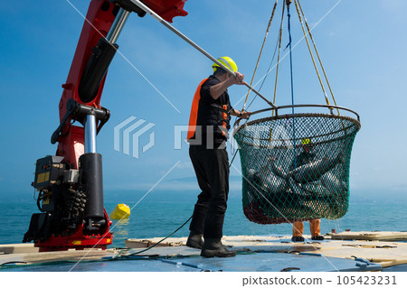 Fishermen raise their catch with fish. 105423231