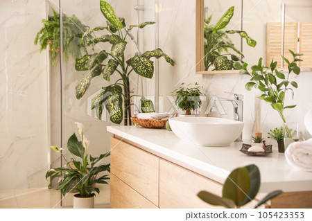 Beautiful green plants in elegant modern bathroom. Interior design 105423353