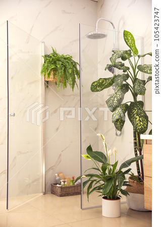 Beautiful green plants in elegant modern bathroom. Interior design 105423747