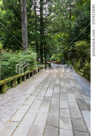 Haruna Shrine cobbled approach Haruna Shrine cobbled approach 105423840