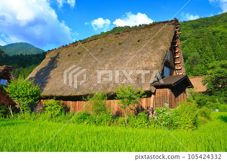 [岐阜縣]在晴朗天氣下的白川鄉 105424332