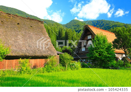 [Gifu Prefecture] Shirakawa-go under sunny weather 105424335