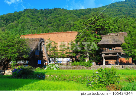 [岐阜縣] 晴天的白川鄉妙善寺栗裡（妙善寺） 105424344
