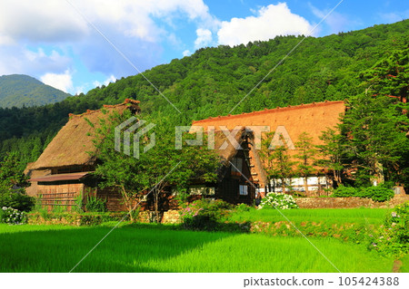 [岐阜縣] 晴天的白川鄉妙善寺栗裡（妙善寺民俗博物館） 105424388