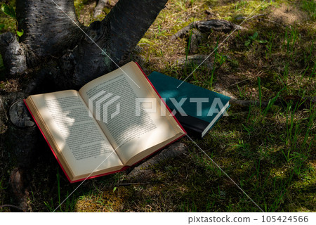 A holiday to read a book slowly under the tree A holiday to read a book slowly under the tree 105424566