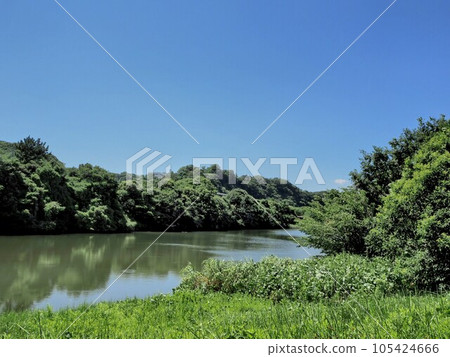 A walk for a day 105424666