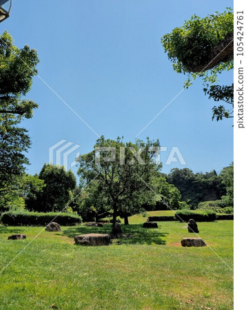 A walk for a day 105424761