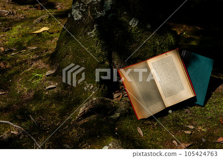 A book to read in the quiet forest A book to read in the quiet forest 105424763