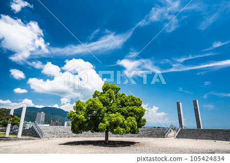 Park of Lake Biwahama Otsu 105424834