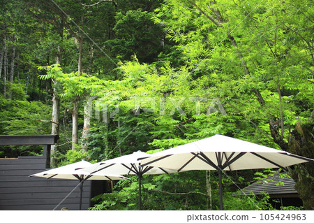 White umbrellas in the greenery White umbrellas in the greenery 105424963