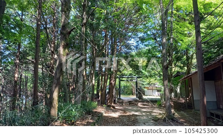 Japan's Top 100 Castles Chihaya Castle Shinomaru Japan's Top 100 Castles Chihaya Castle Shinomaru 105425300