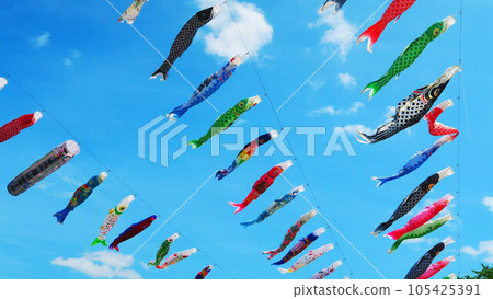 “2023川口芝川鯉魚旗節”鯉魚旗與藍天美景 105425391