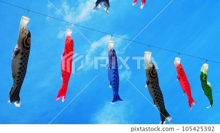 “2023川口芝川鯉魚旗節”鯉魚旗與藍天美景 “2023川口芝川鯉魚旗節”鯉魚旗與藍天美景 105425392