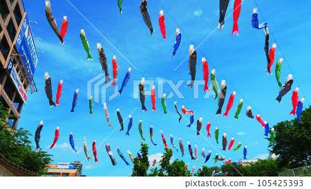 Beautiful scenery of carp streamers and blue sky at "Kawaguchi Shibakawa Carp Streamer Festival 2023" 105425393