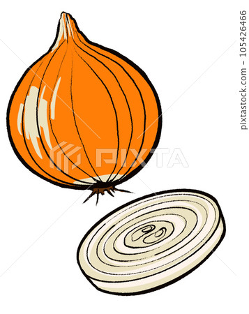洋蔥切片 105426466