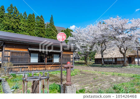 富山縣五箇山 春天櫻花盛開時,菅沼合掌造村的消防栓 富山縣五箇山 春天櫻花盛開時,菅沼合掌造村的消防栓 105426468