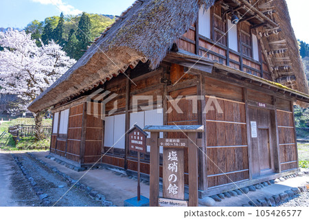 Gokayama, Toyama Prefecture: A salt and pepper house in the Suganuma gassho-zukuri village in spring when cherry blossoms are in bloom 105426577