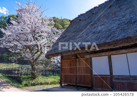 富山縣五箇山市:春天櫻花盛開時,菅沼合掌造村的鹽和胡椒屋 富山縣五箇山市:春天櫻花盛開時,菅沼合掌造村的鹽和胡椒屋 105426578