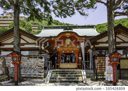 廣島東照宮參拜殿 廣島縣 廣島市 廣島東照宮參拜殿 廣島縣 廣島市 105426809