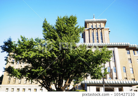 A Western-style building (Kanagawa Prefectural Office) that shines against the blue sky 105427110