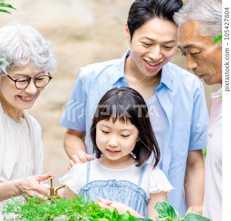 Senior couple and grandchildren gardening 105427804