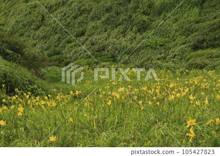 南伊豆湯菅公園的絕美景色 105427823