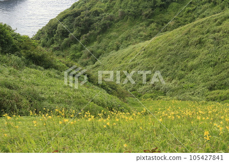 Amazing view of Minamiizu Yuusuge Park Amazing view of Minamiizu Yuusuge Park 105427841