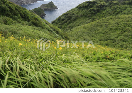 Superb views of cliffs overlooking the sea 105428241
