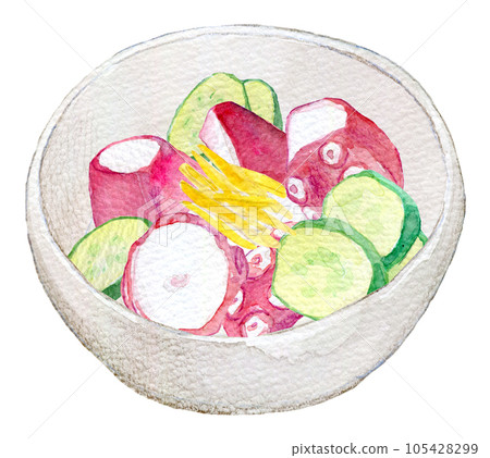 Vinegared octopus watercolor illustration 105428299