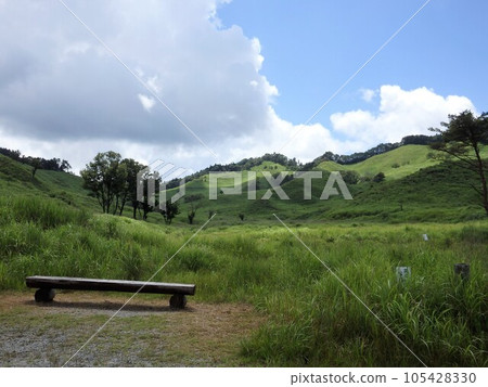 Tonomine Plateau Empty summer plateau 105428330