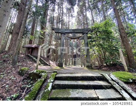 Slam dunk mecca, approach to Moriko Daimohi Shrine 105428981