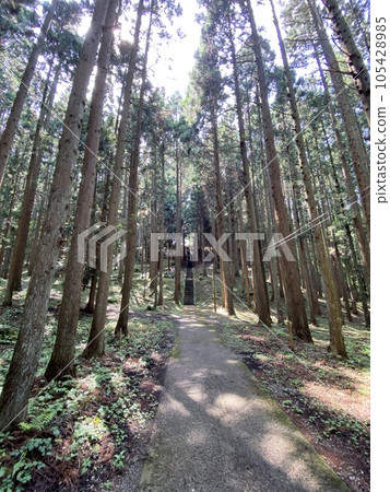 Slam dunk mecca, approach to Moriko Daimohi Shrine 105428985