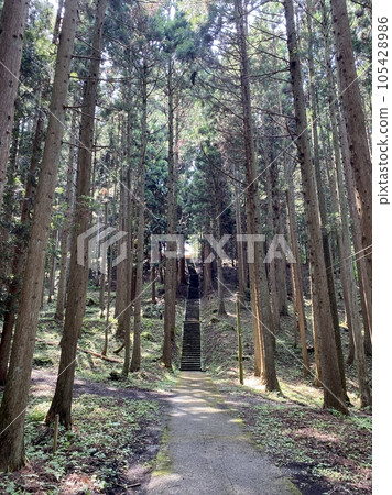 Slam dunk mecca, approach to Moriko Daimohi Shrine 105428986