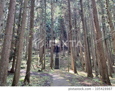 Slam dunk mecca, approach to Moriko Daimohi Shrine 105428987