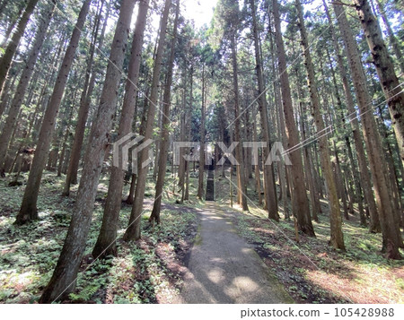 灌籃聖地，前往森子大茂日神社 105428988
