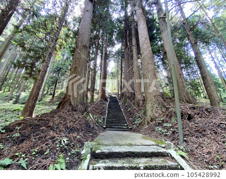 Slam dunk mecca, approach to Moriko Daimohi Shrine 105428992