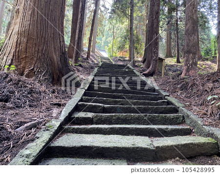 Slam dunk mecca, approach to Moriko Daimohi Shrine 105428995