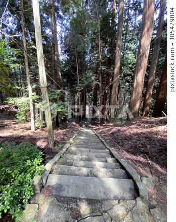Slam dunk mecca, approach to Moriko Daimohi Shrine 105429004