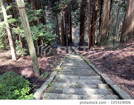 Slam dunk mecca, approach to Moriko Daimohi Shrine 105429006