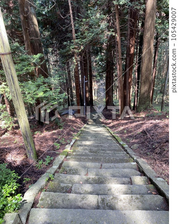 Slam dunk mecca, approach to Moriko Daimohi Shrine 105429007